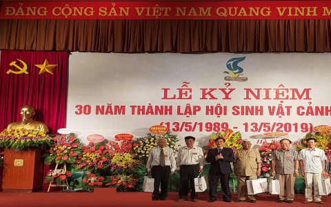 Sinh Vật Cảnh Việt Nam: Chặng đường 30 năm từ một thú chơi nhân văn đến một ngành kinh tế sinh thái.